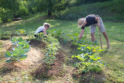 Folklove's Permaculture Gardening Blog